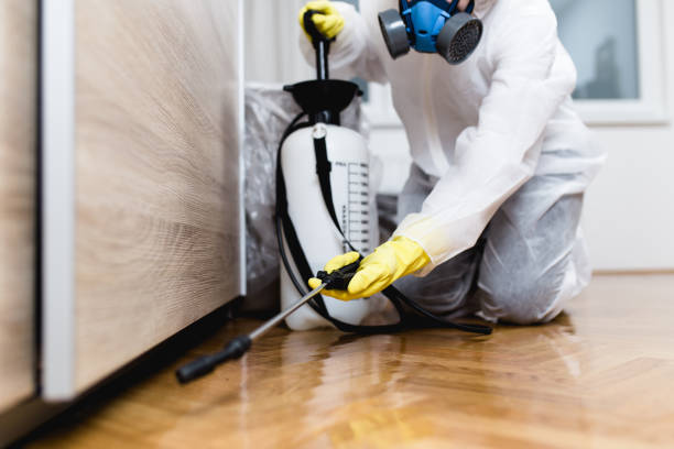 Best Local Pest Control Services  in Beecher, IL