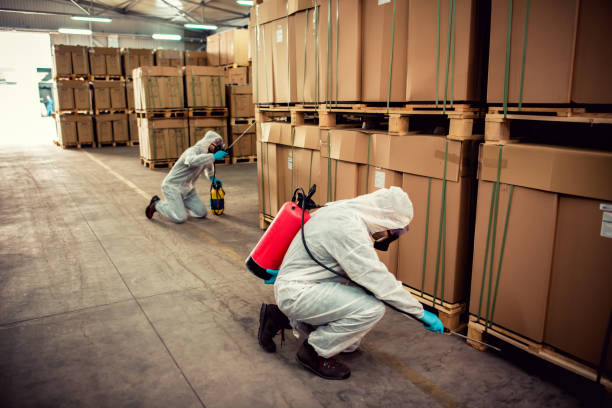 Best Best Pest Control Companies  in Beecher, IL