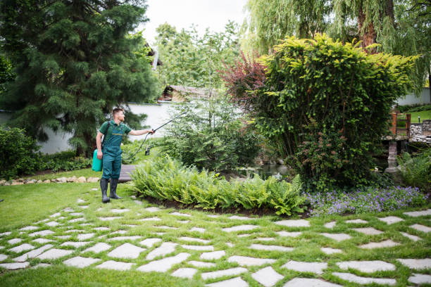 Best Affordable Pest Control Services  in Beecher, IL