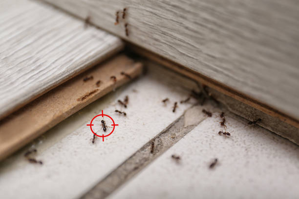 Beecher, IL Pest Control Company
