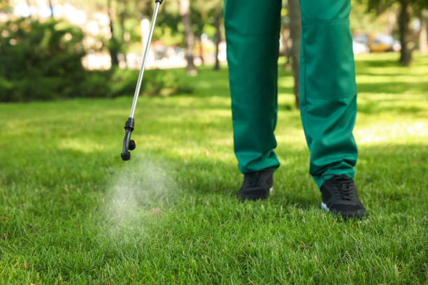 Best Affordable Pest Control Services  in Beecher, IL