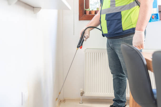Best Mosquito Control Services  in Beecher, IL