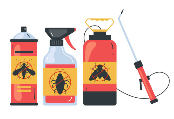 Best Spider Control Near Me  in Beecher, IL