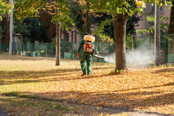 Bird Control in Beecher, IL