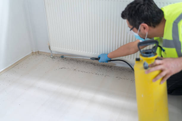 Best Pest Prevention Services  in Beecher, IL